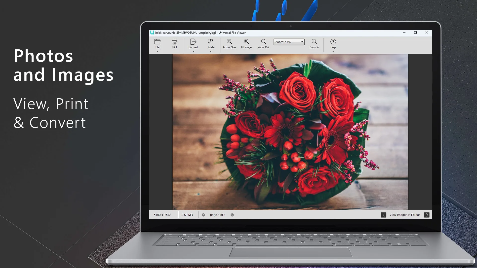 Universal File Viewer screenshot 2