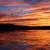 Painted Skies by Brook Burling