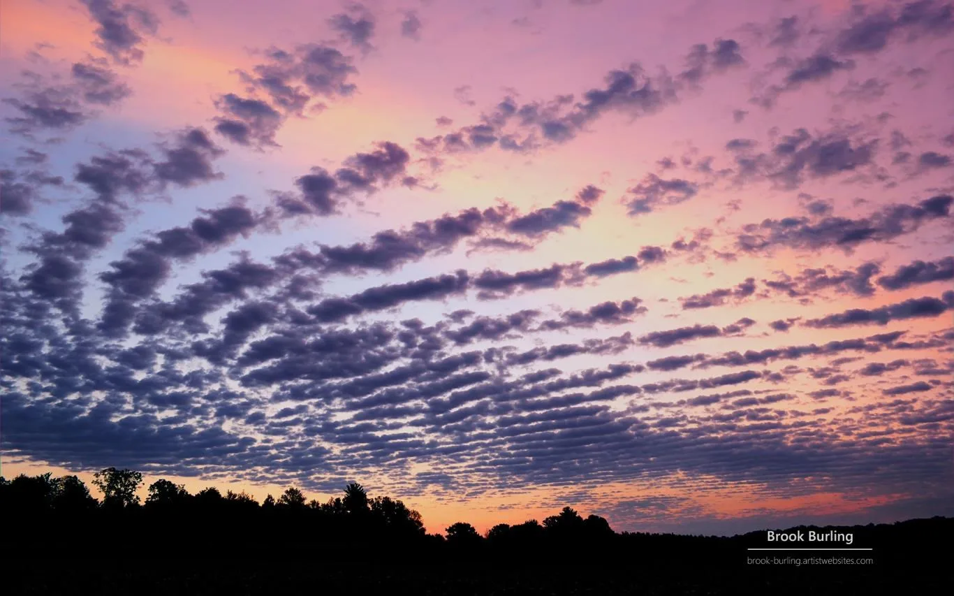 Painted Skies by Brook Burling screenshot 1