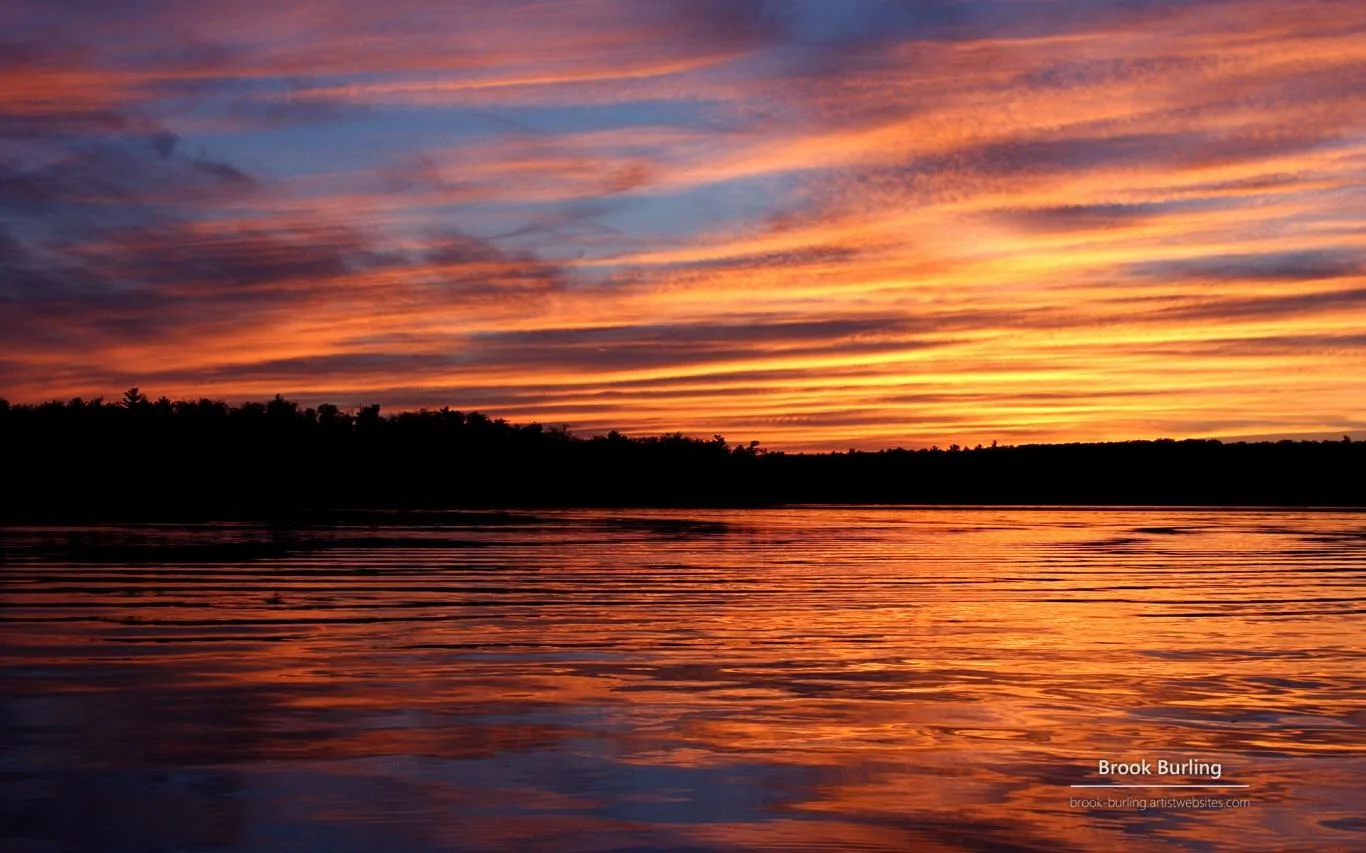 Painted Skies by Brook Burling screenshot 3