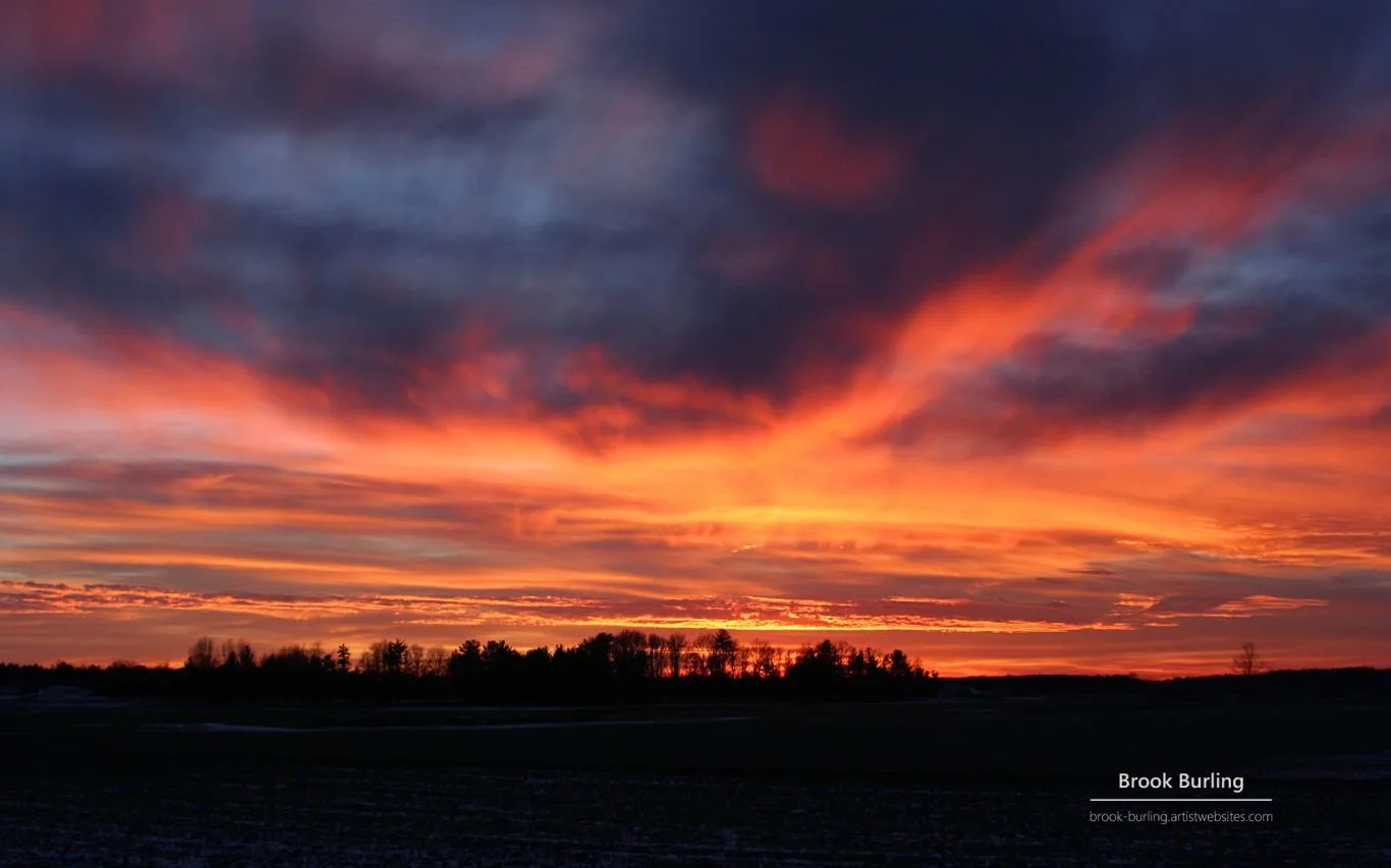 Painted Skies by Brook Burling screenshot 4