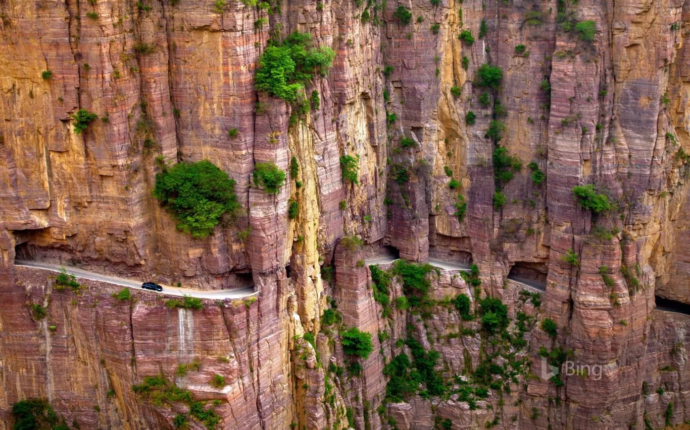 Bing Fan Favorites II screenshot 4
