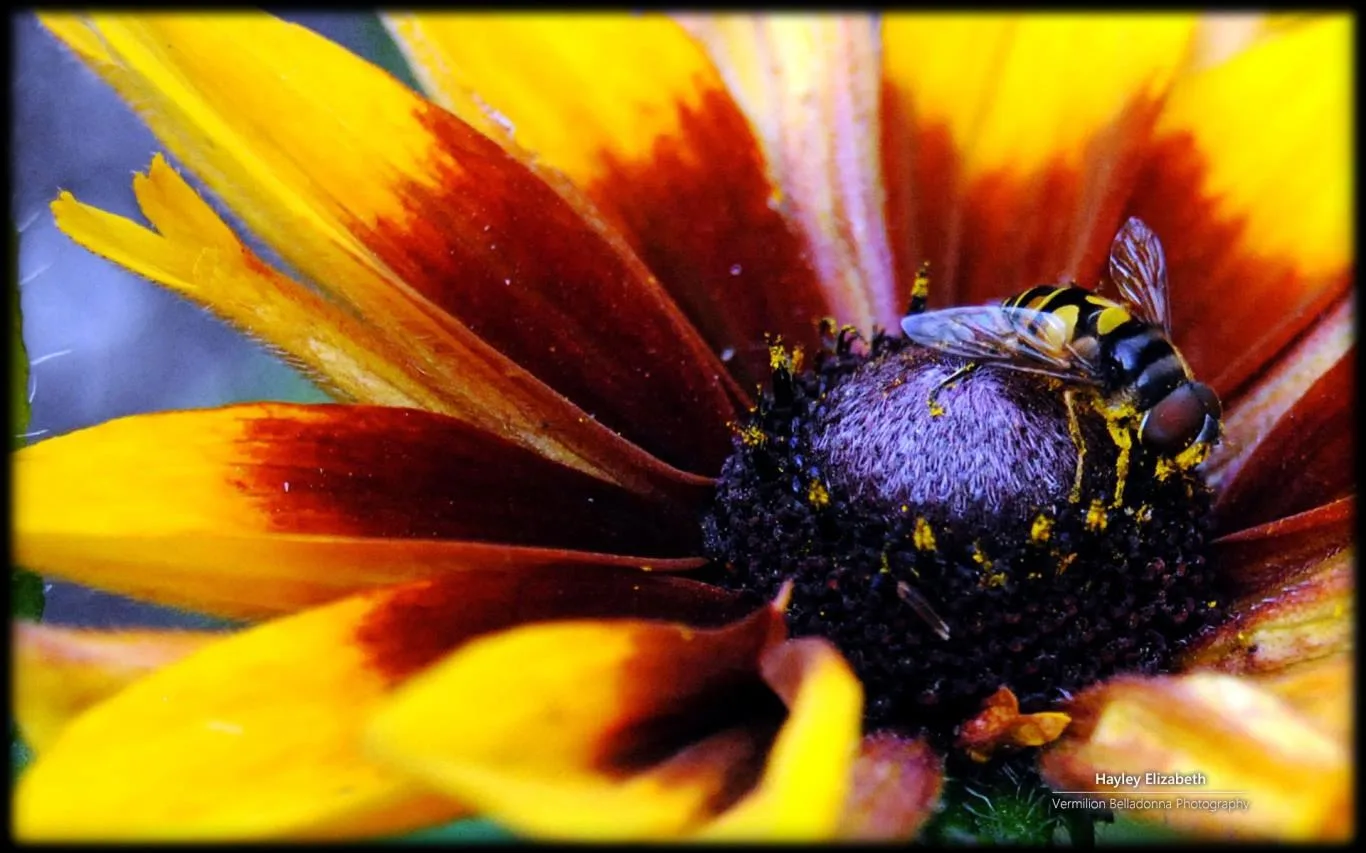 Garden Life 2 by Hayley Elizabeth screenshot 4