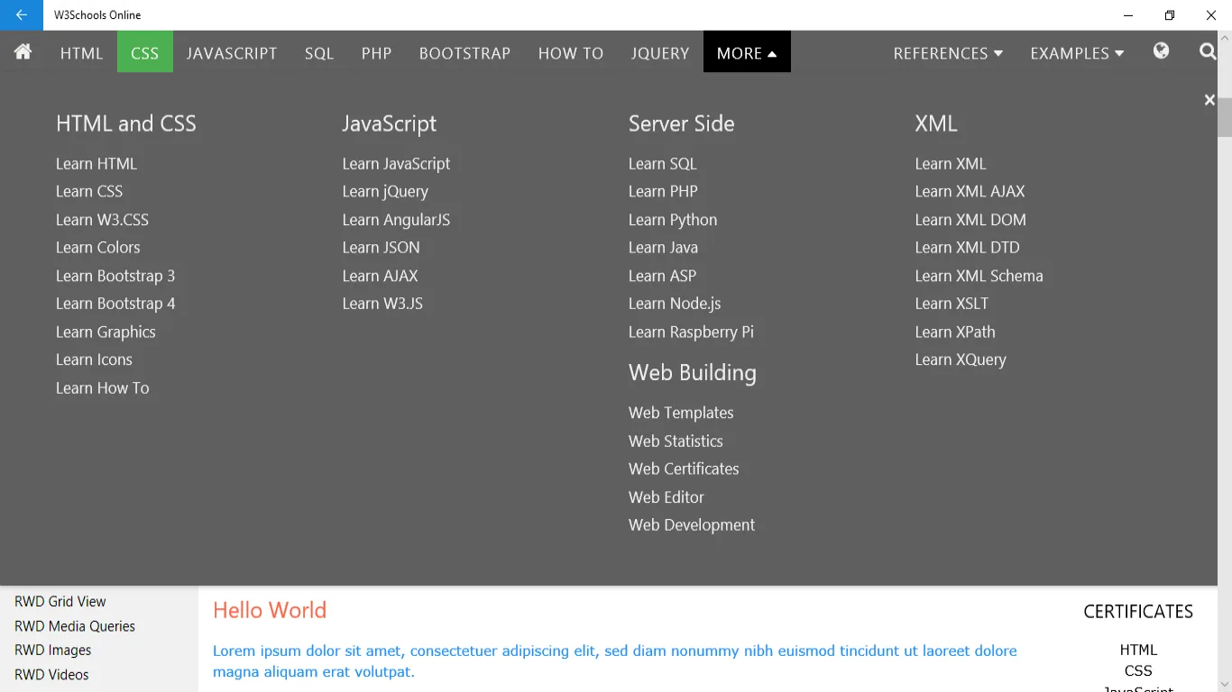 W3Schools Online screenshot 2