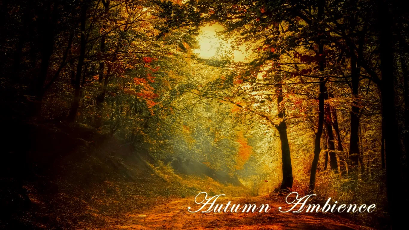 Autumn Ambience In HD screenshot 1