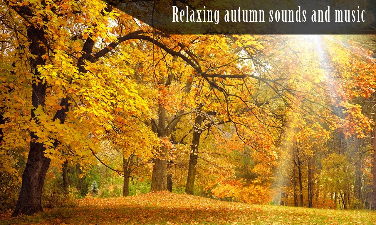 Autumn Ambience In HD screenshot 2
