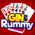 Gin Rummy Card Game!
