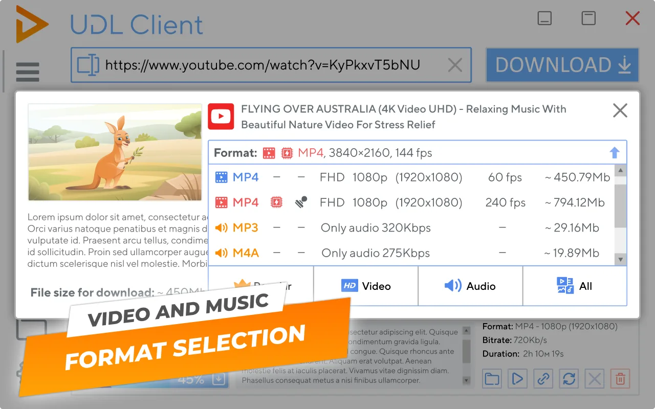 UDL Client screenshot 2
