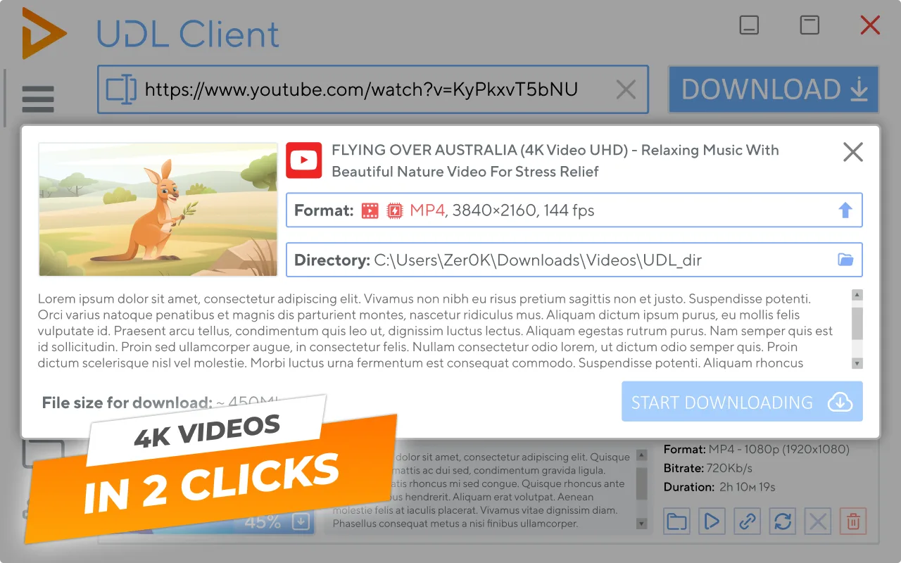 UDL Client screenshot 3