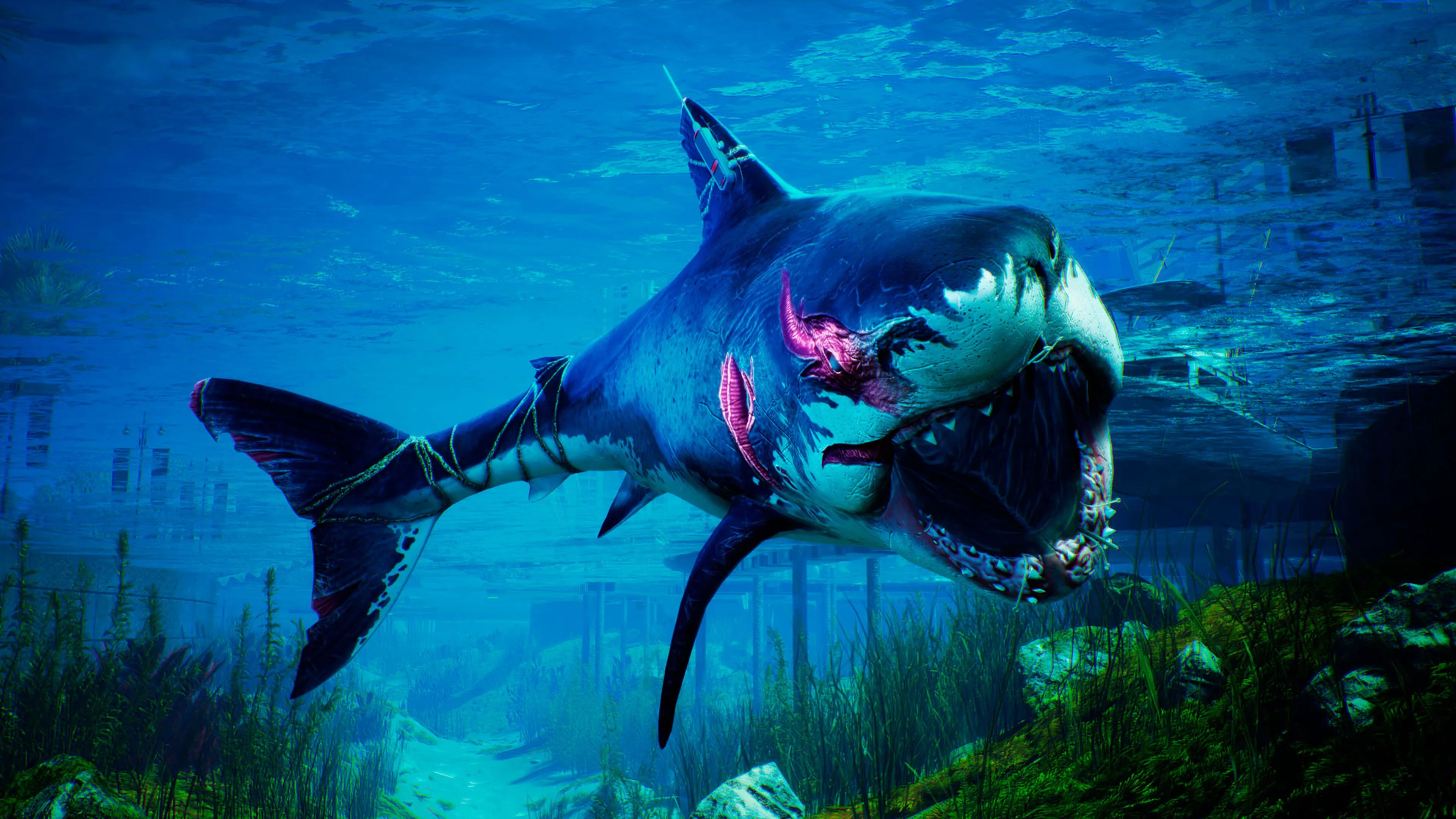 Maneater Apex Edition screenshot 2