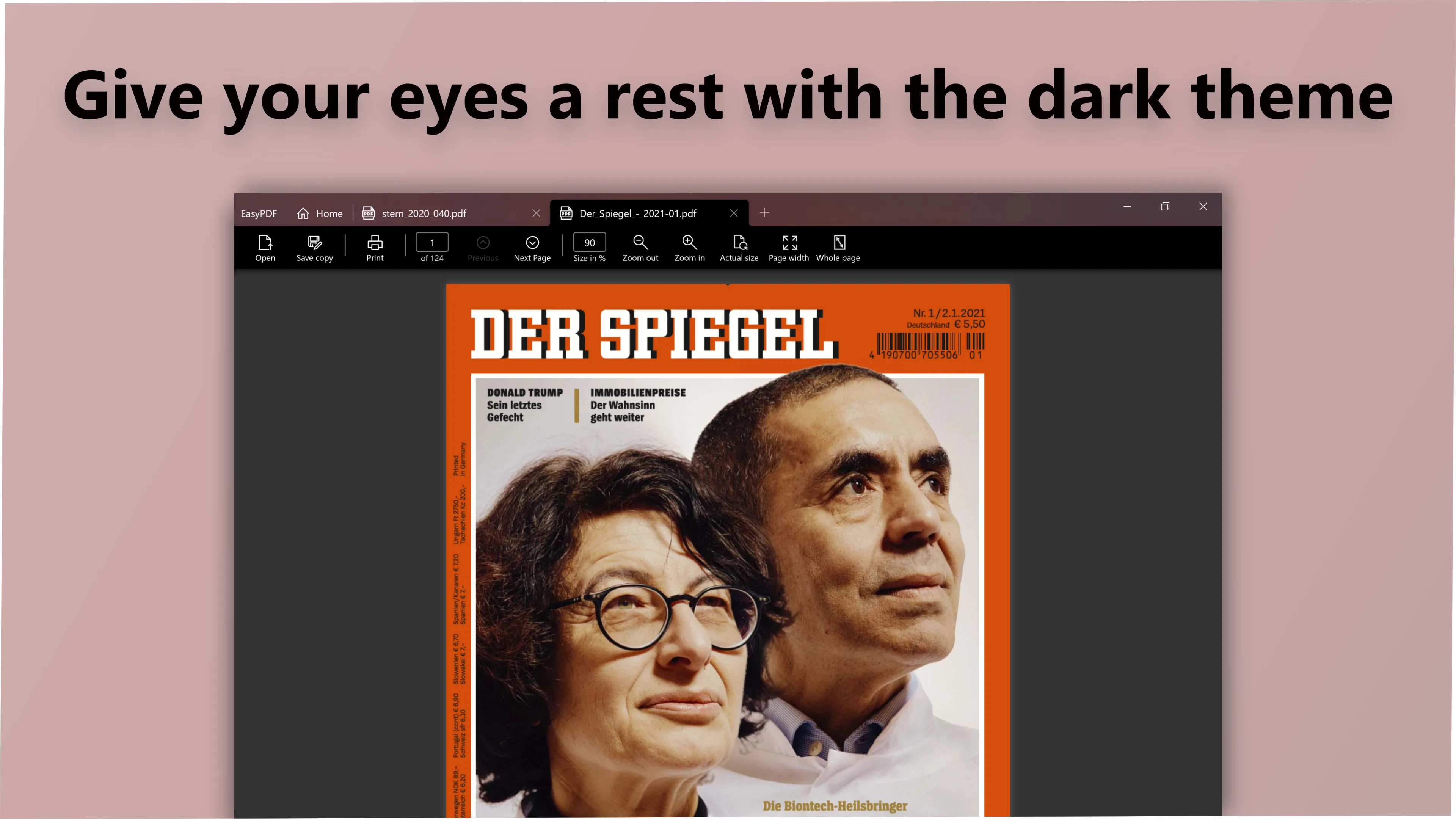 PDF* screenshot 2