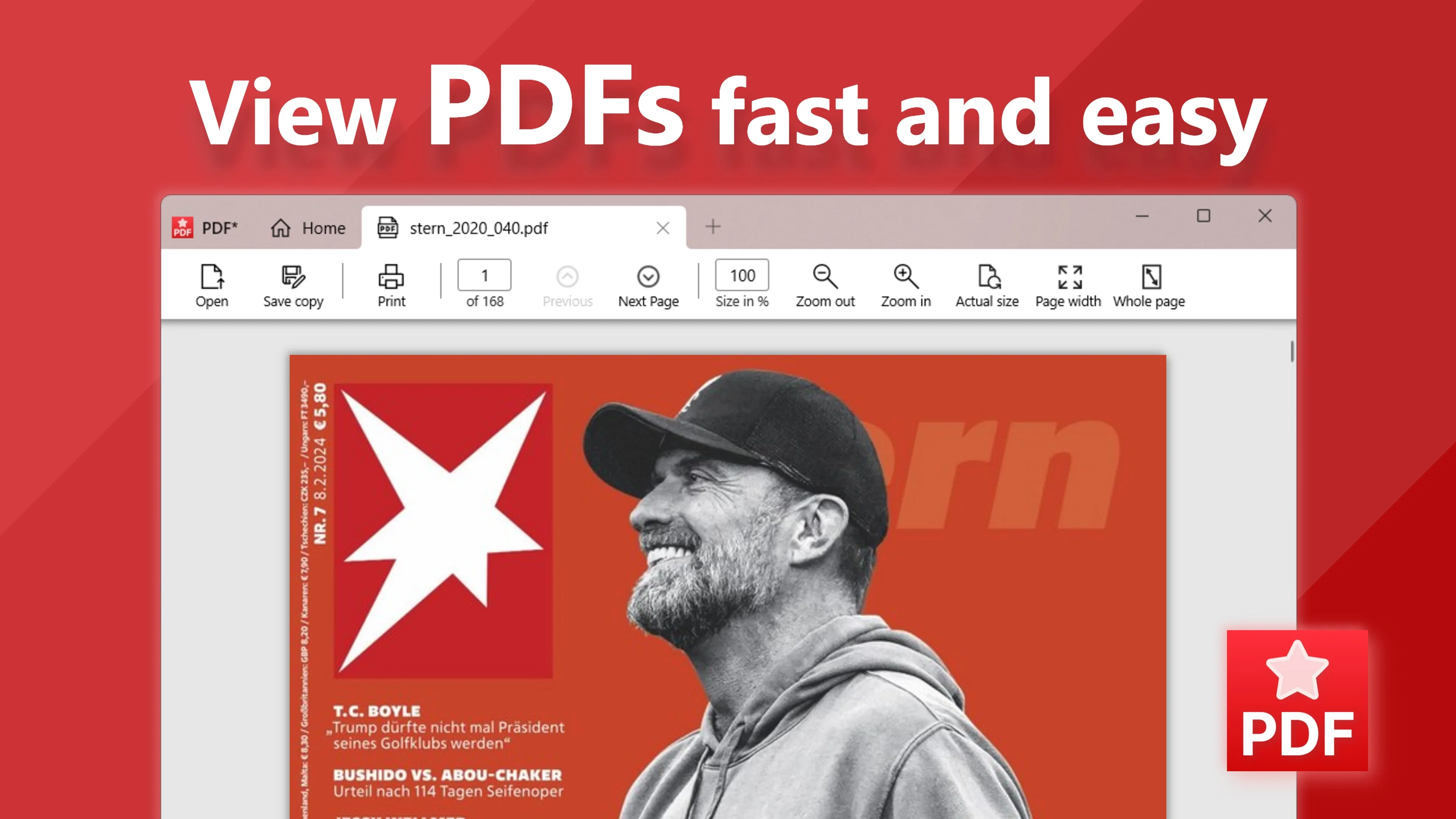 PDF* screenshot 4