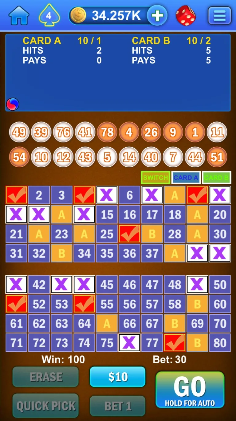 Keno Multi Card! screenshot 2
