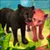 Panther Family Sim
