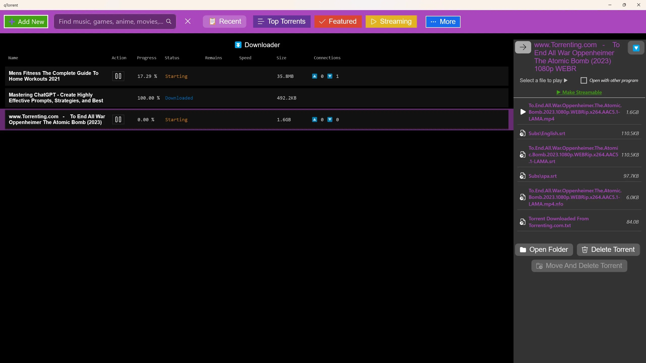 qTorrent screenshot 5