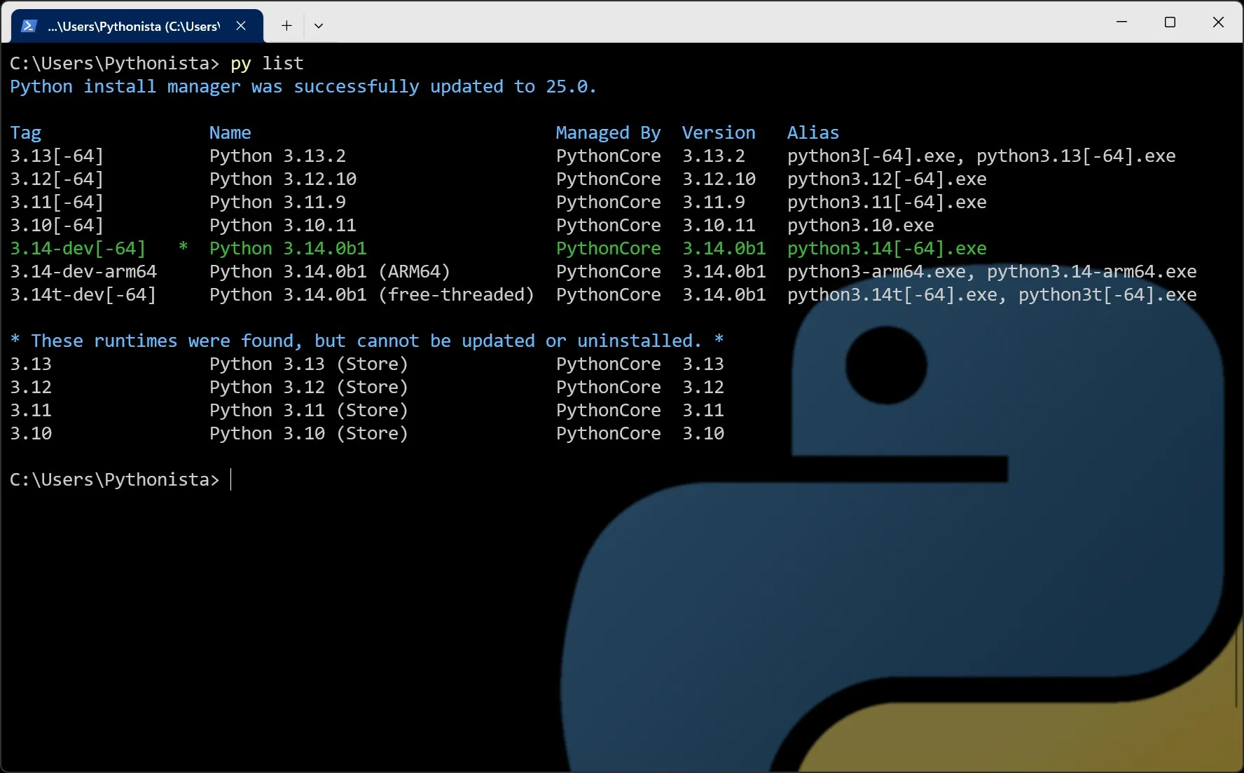Python Install Manager screenshot 2