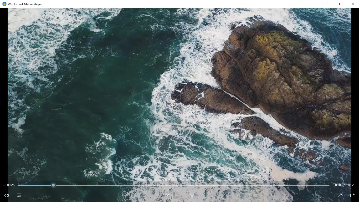 WinTorrent screenshot 4
