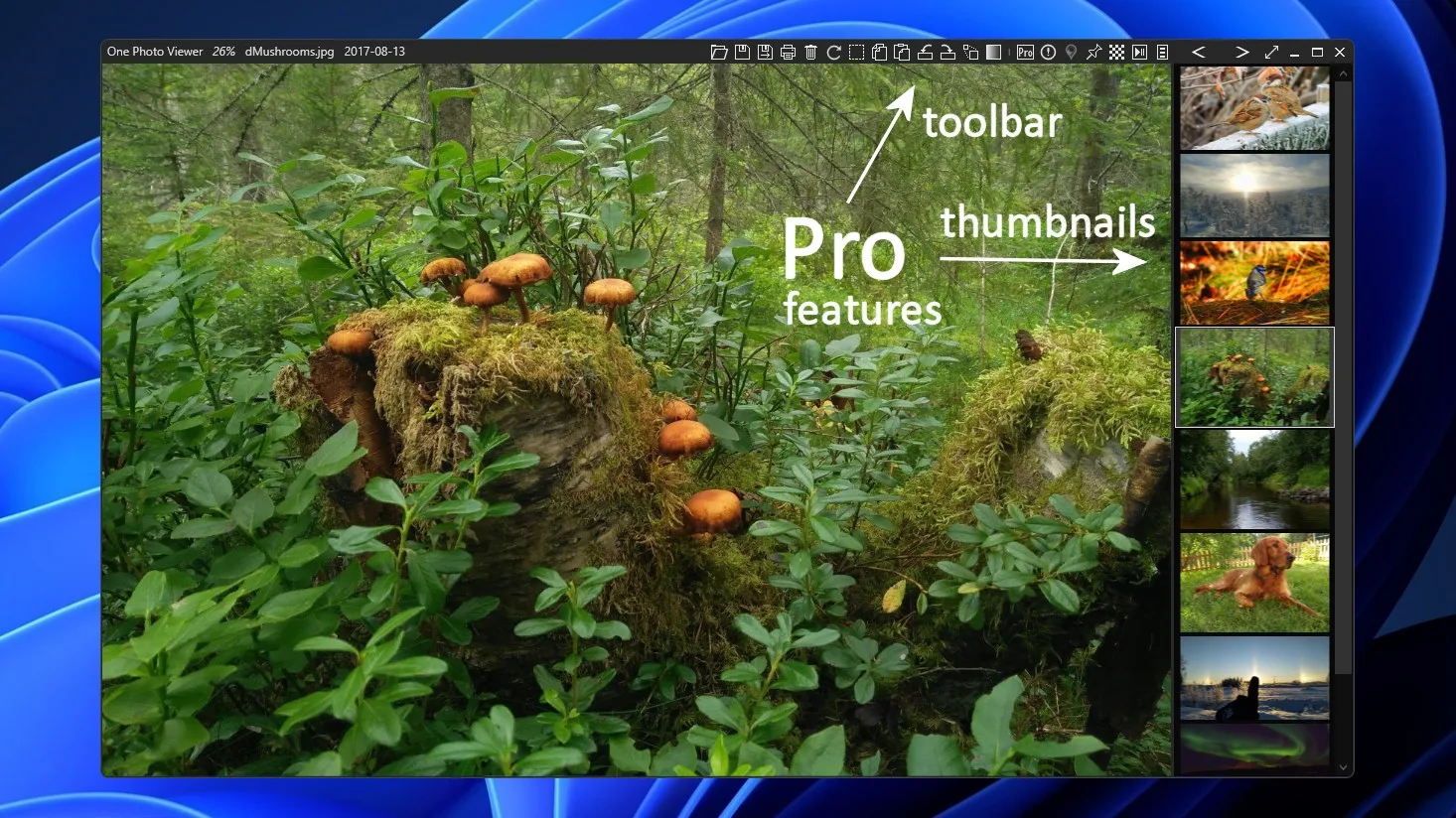 One Photo Viewer Pro screenshot 1