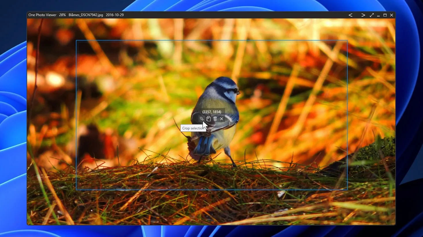 One Photo Viewer Pro screenshot 2