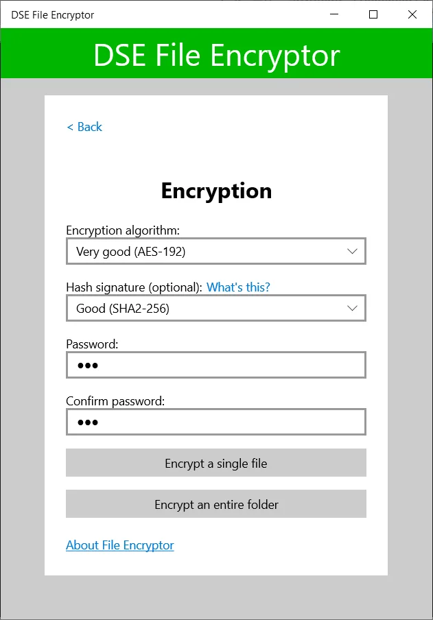 DSE File Encryptor screenshot 1