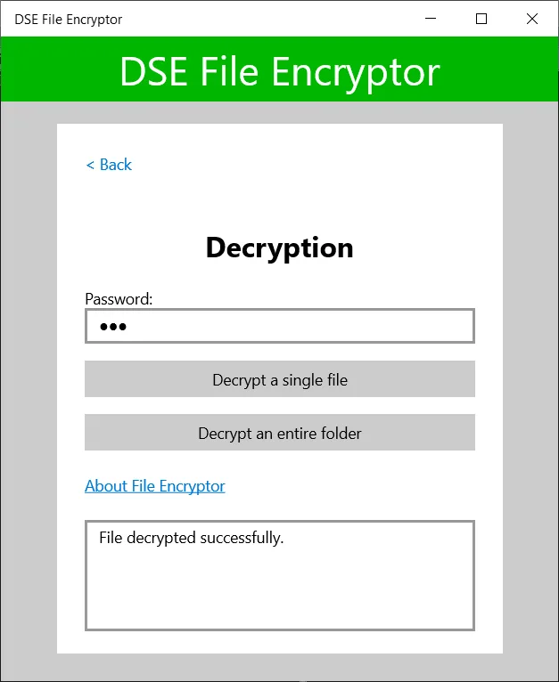 DSE File Encryptor screenshot 4