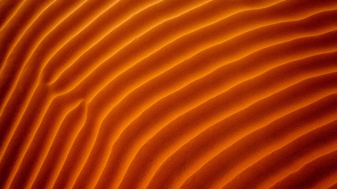 Curious Perspectives screenshot 3