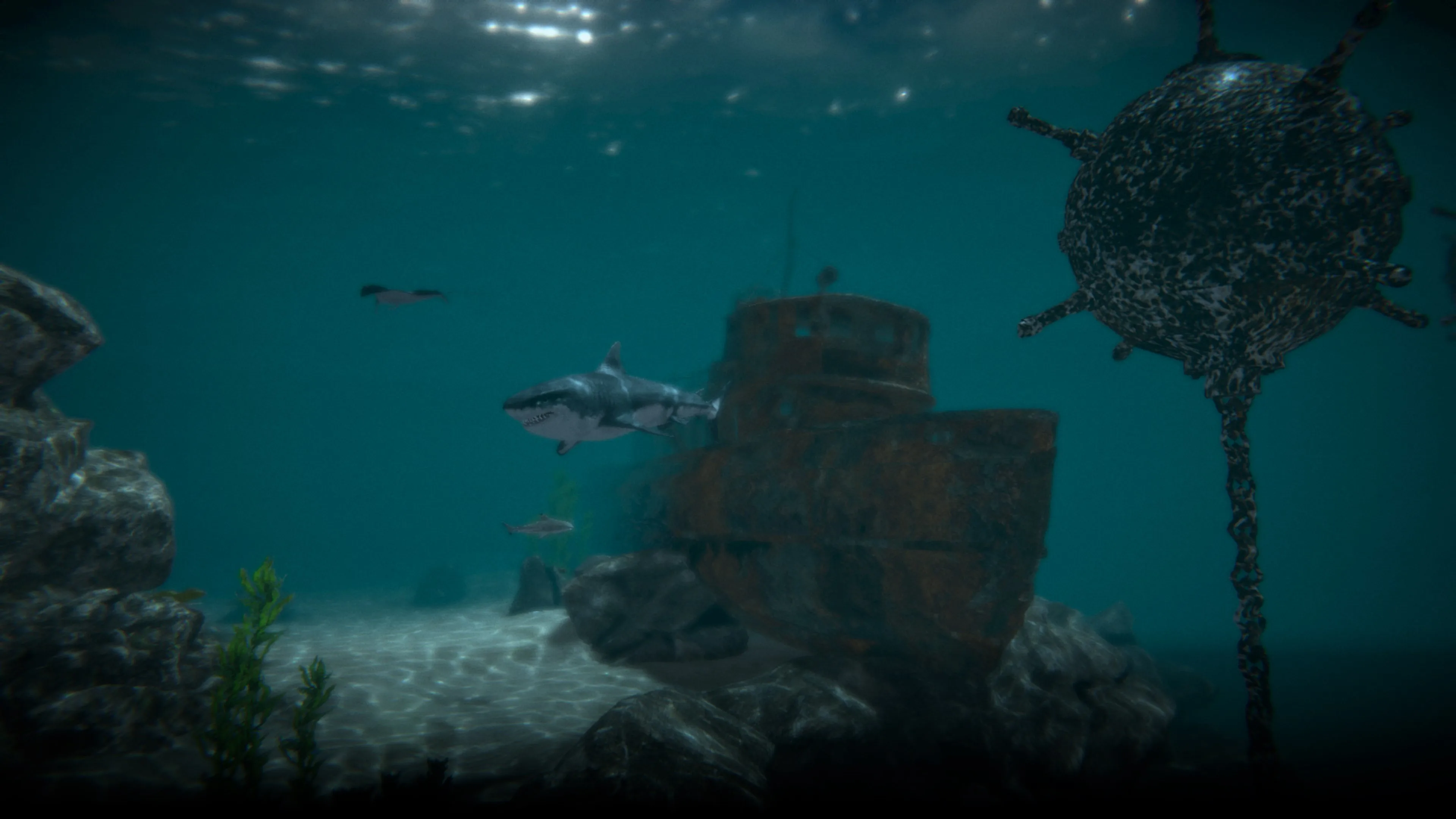 Aquarium - Shark Tank screenshot 2