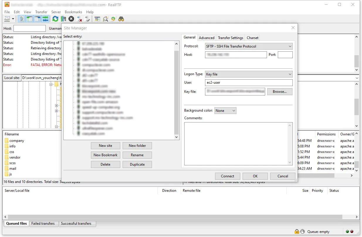 Real FTP screenshot 2
