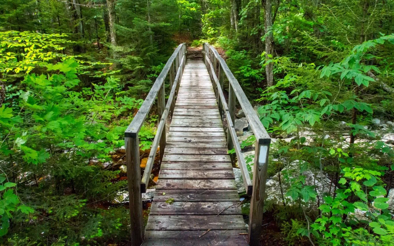 Take a Hike screenshot 1