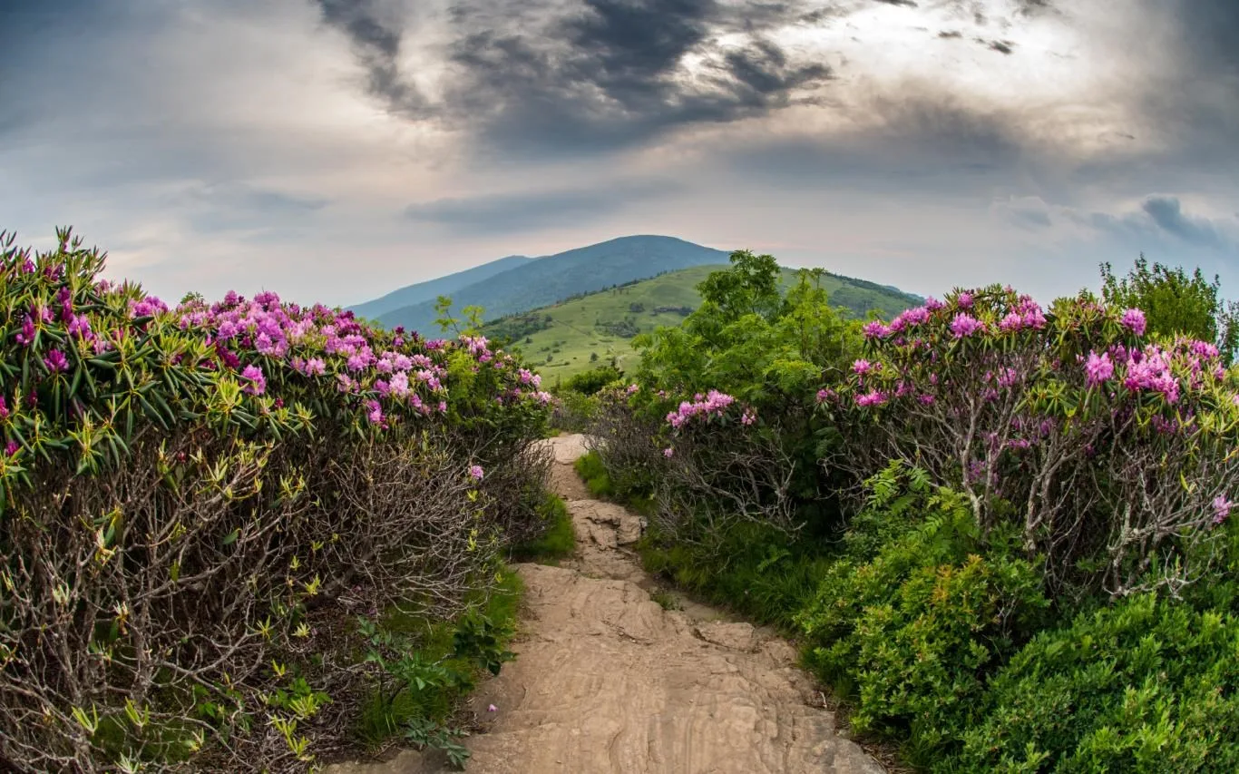 Take a Hike screenshot 4