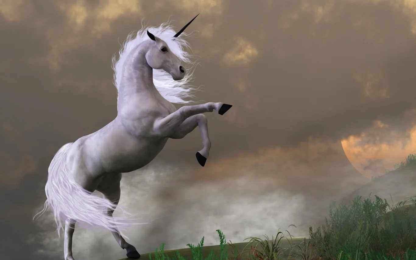 Fantastical Fantasy screenshot 1
