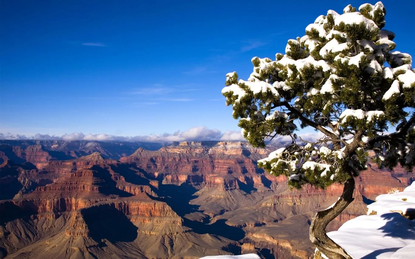 The Grand Canyon National Park screenshot 3