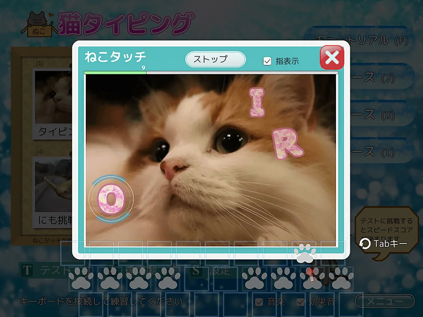 猫タイピング screenshot 5