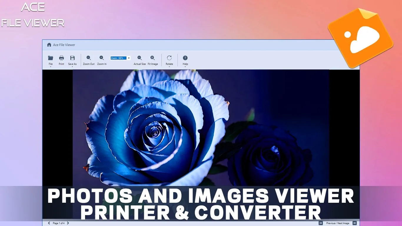 Ace File Viewer screenshot 5