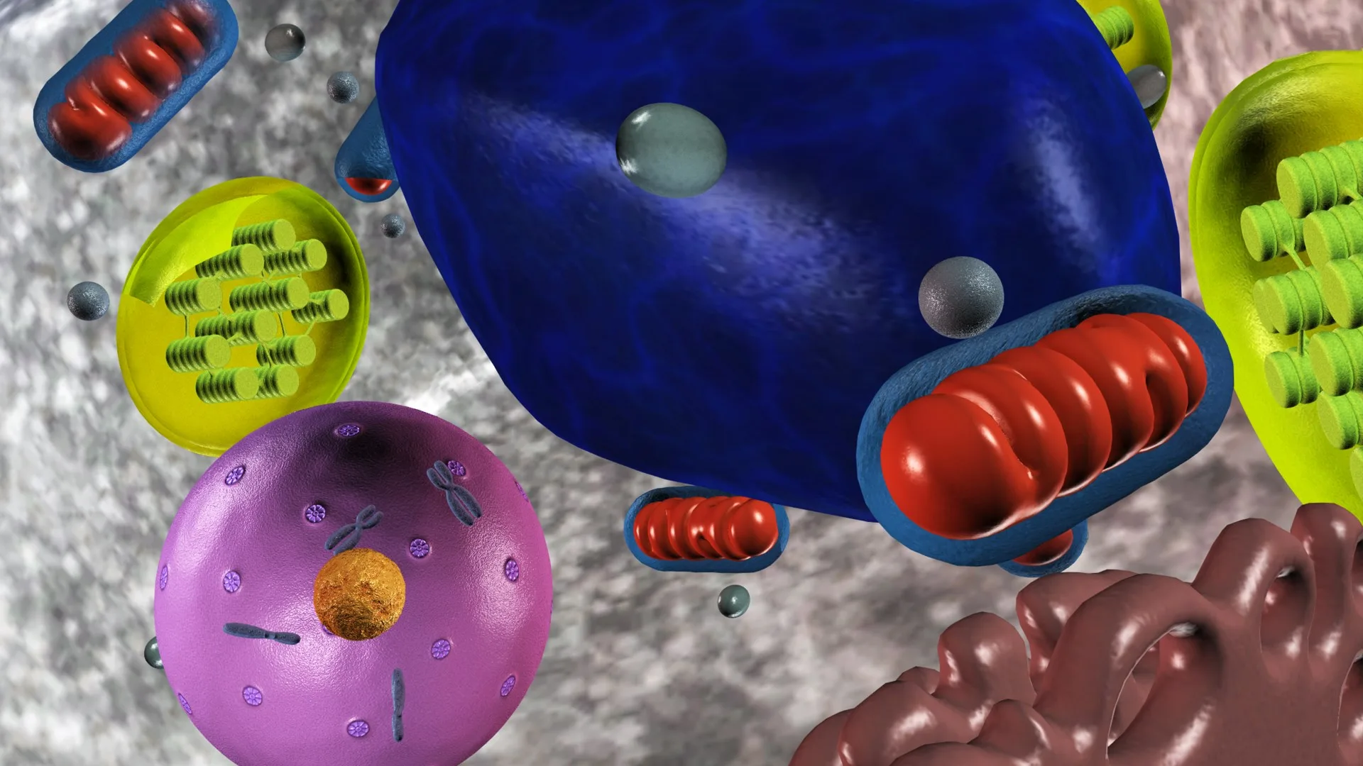 Sensavis Visual Learning Tool screenshot 4