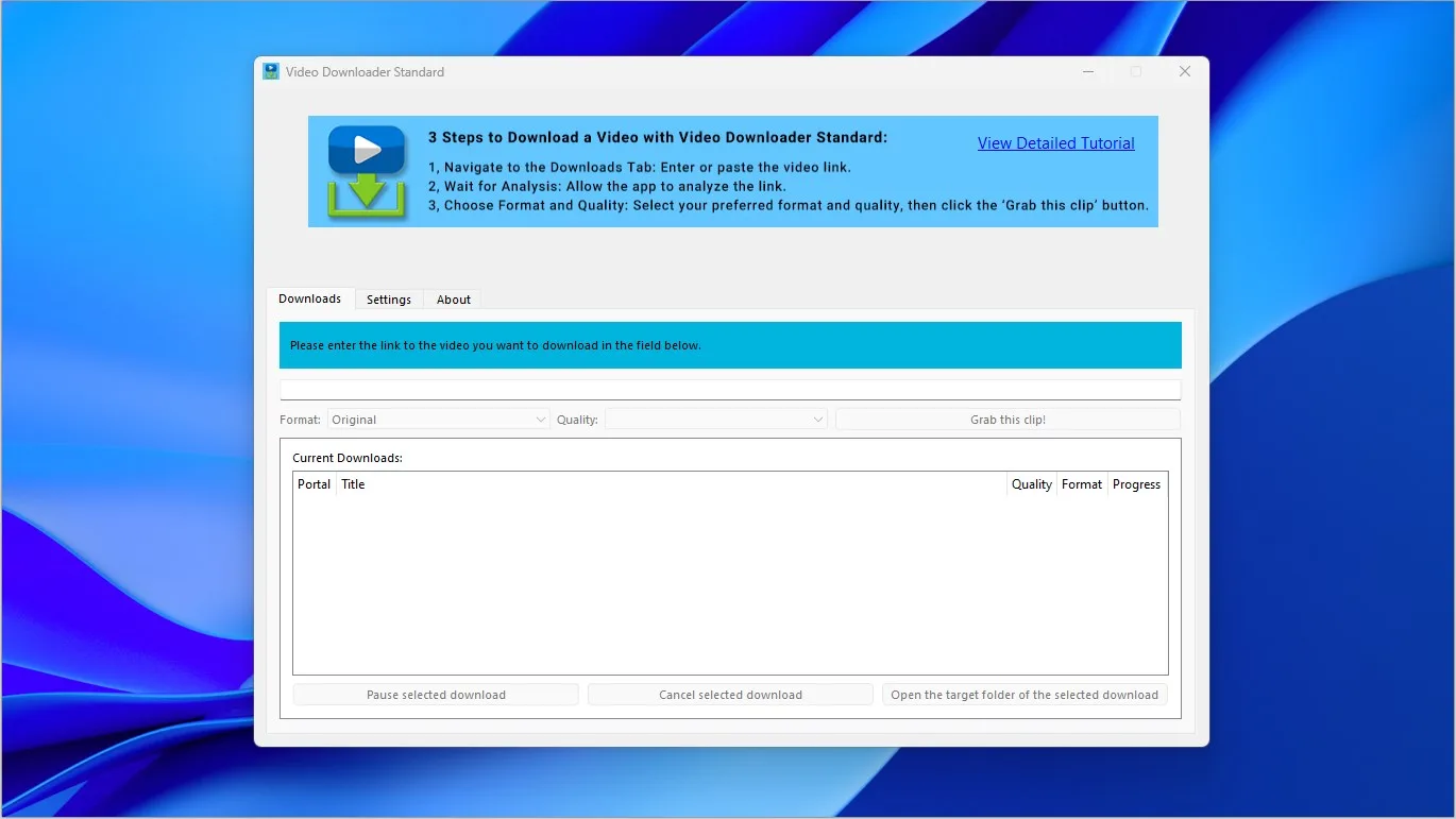 Video Downloader Standard screenshot 1