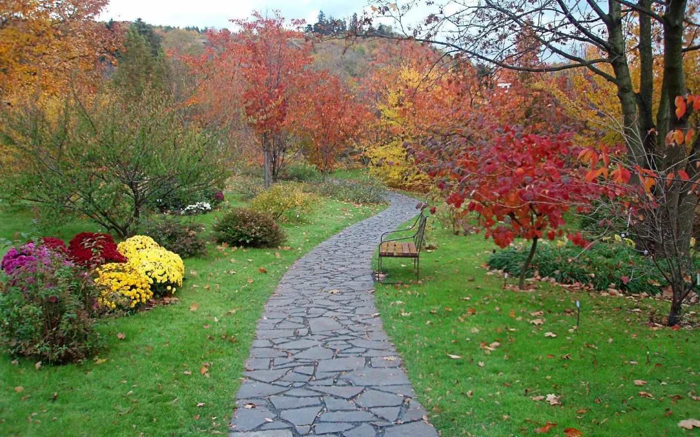 Czech Autumn screenshot 1