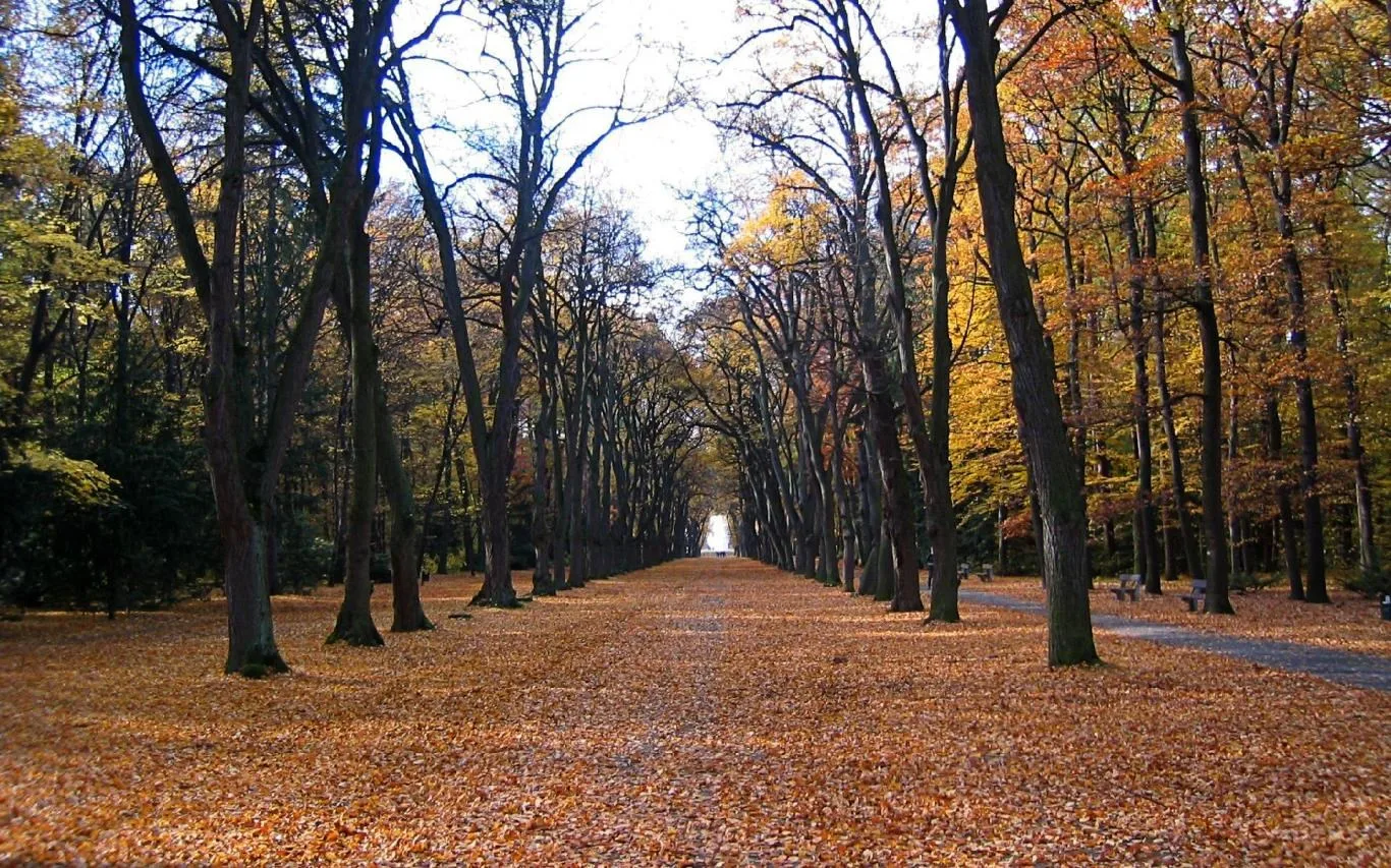 Czech Autumn screenshot 4