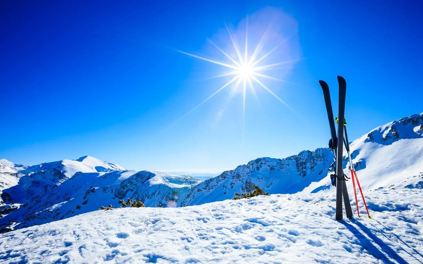 Wintertime Sports screenshot 3