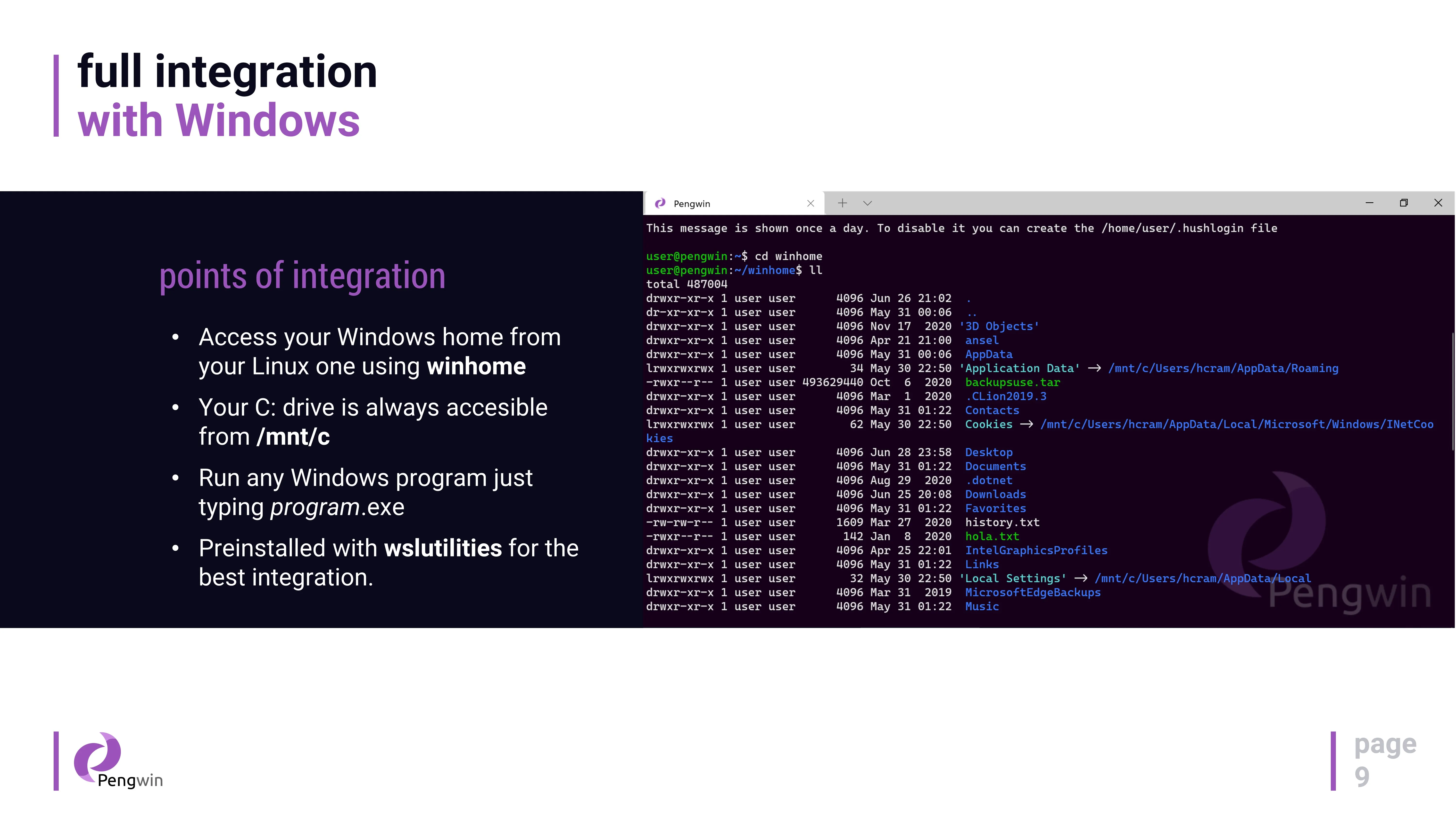 Pengwin screenshot 3