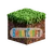 SmartCraft