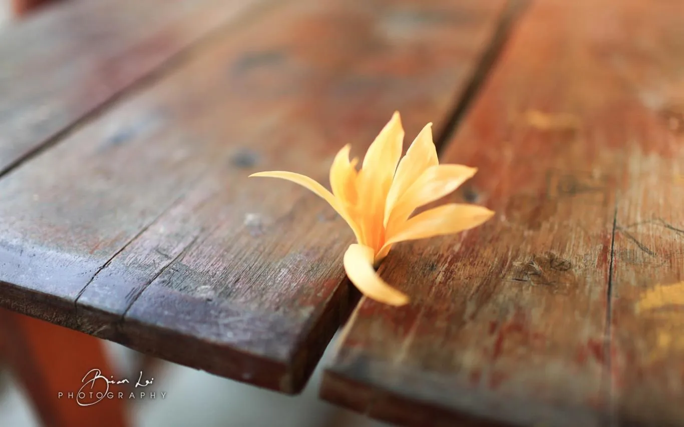 Natural Grace by Brian Lai screenshot 1