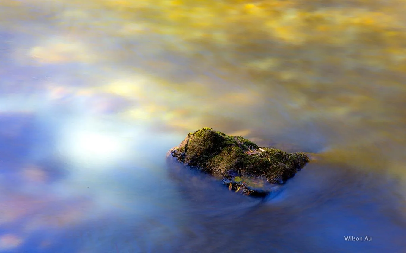 Beauty of Honshu by Wilson Au screenshot 3