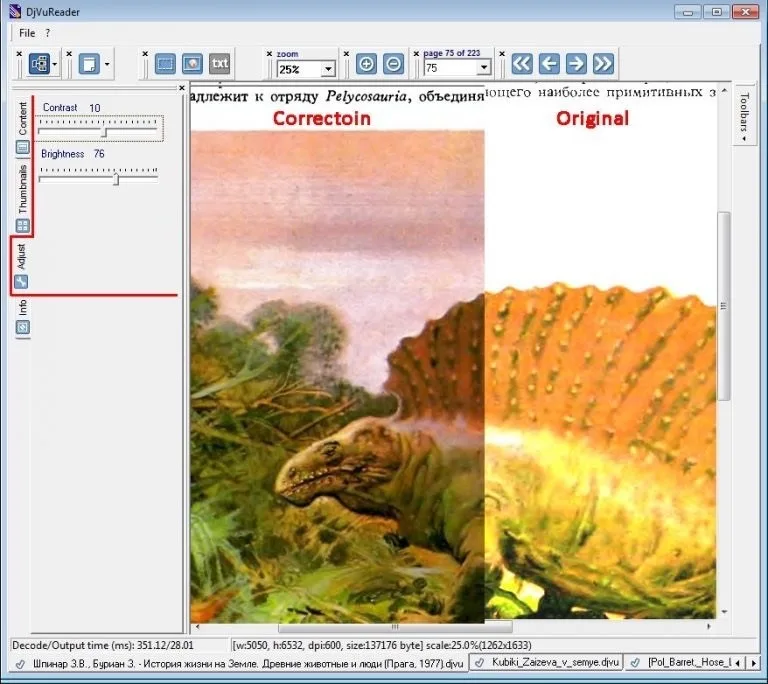 DjVu Reader` screenshot 1