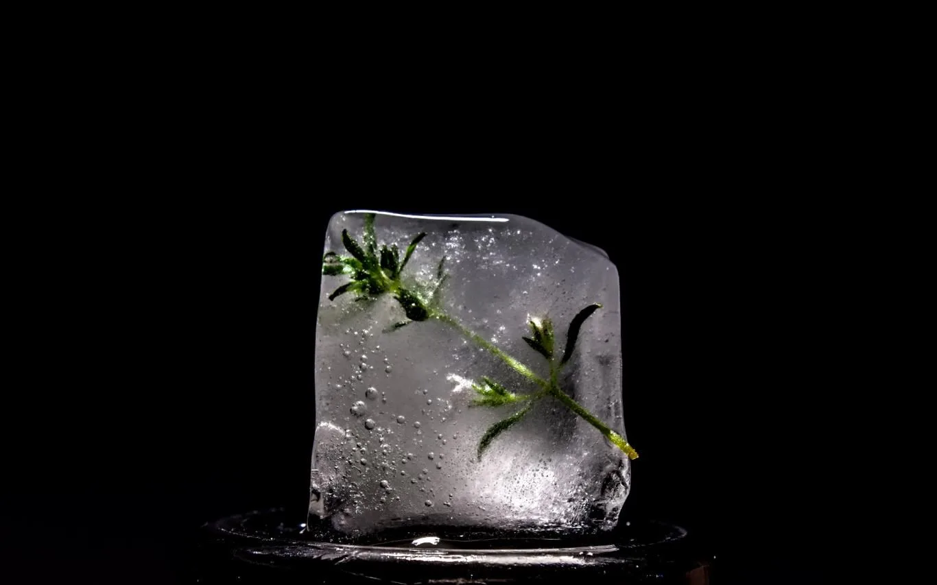 Melting Ice screenshot 3