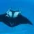 National Geographic Underwater