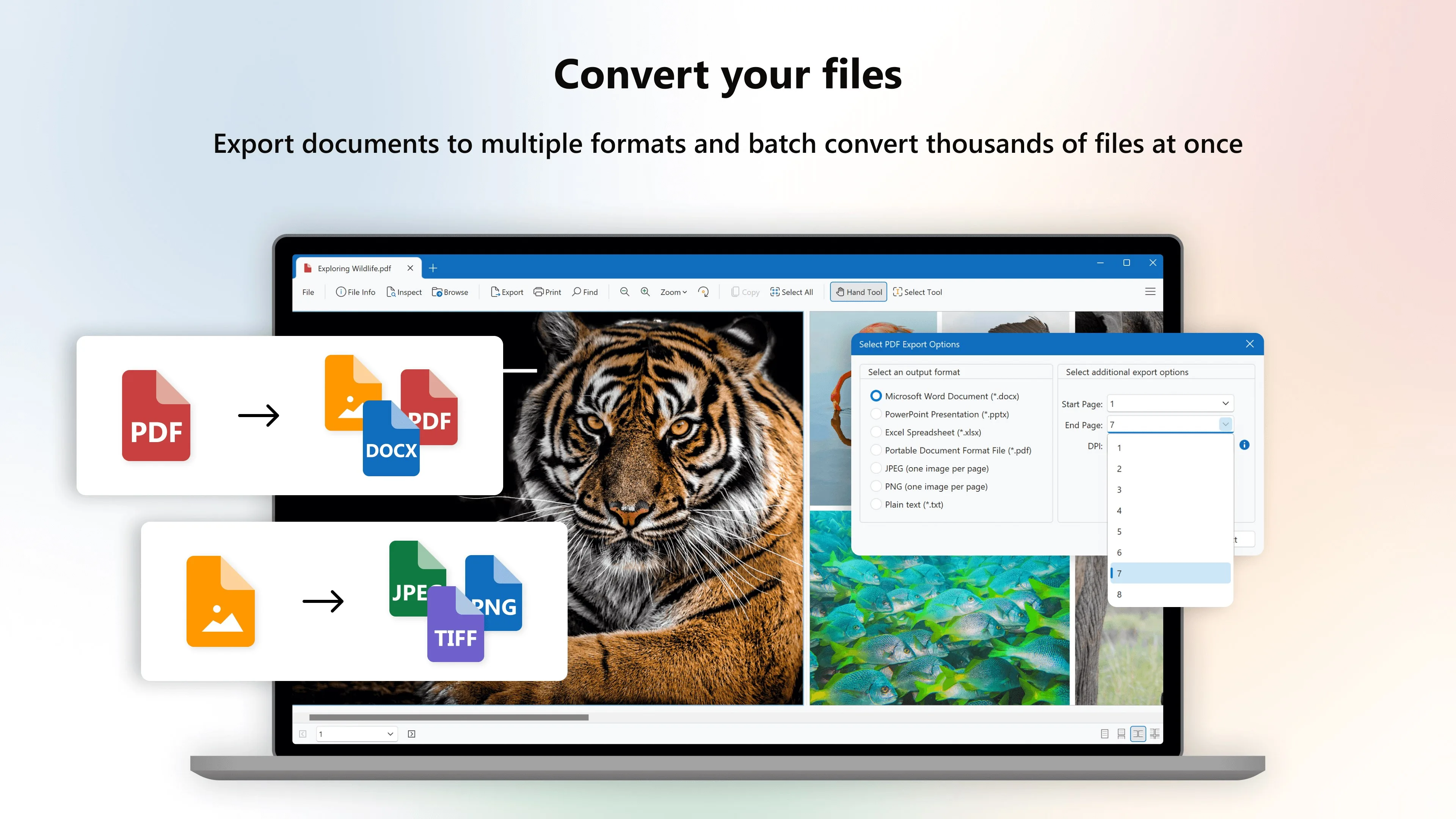 File Viewer Plus screenshot 5