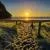West Coast NZ by Ian Rushton