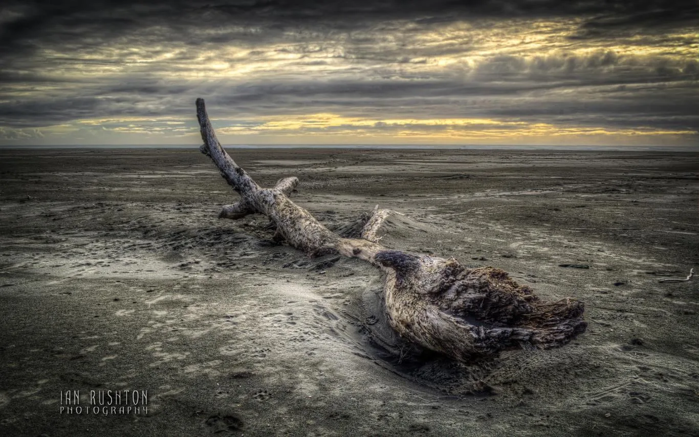 West Coast NZ by Ian Rushton screenshot 2