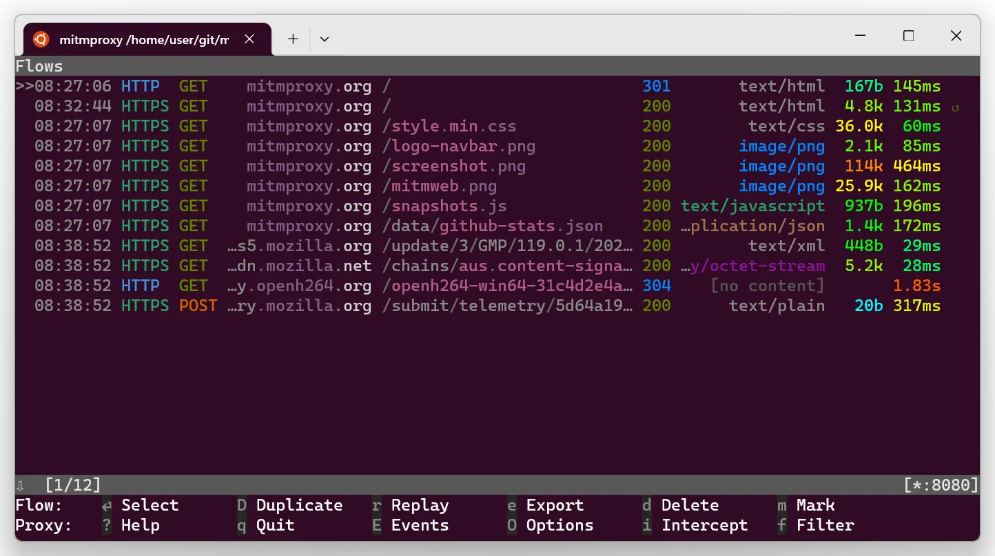 mitmproxy screenshot 2